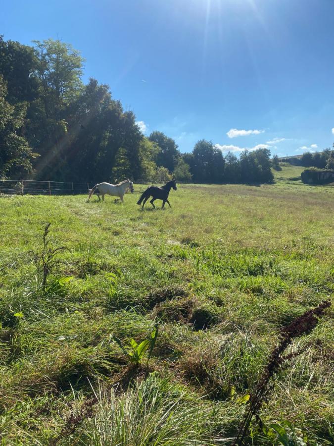 Chez Sophie -Chambres D'Hotes, Gite Et Gite Equestre Clermont-Dessous Exterior foto